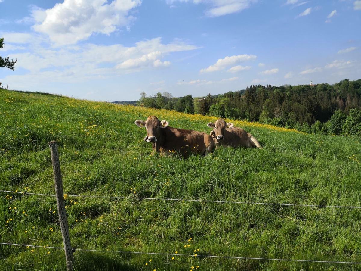 Jaegerstueble Altusried